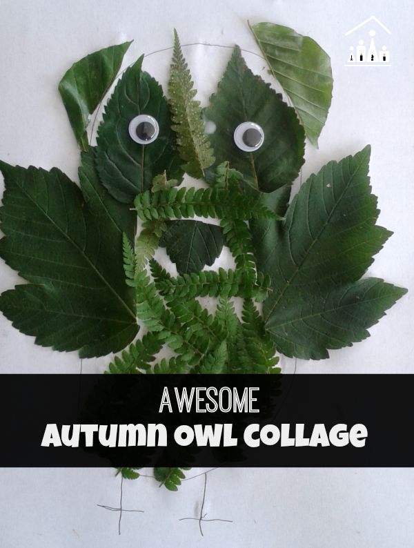 autumn owl collage made from leaves