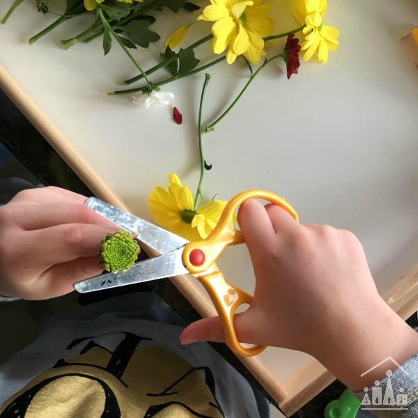 Practising Preschool Cutting Skills on Flowers